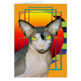 カード| VampのSphynx猫(オレンジ)