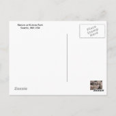 カード: Zの郵便はがき: 自然のKubota公園、シアトル、WA ポストカード (裏面)