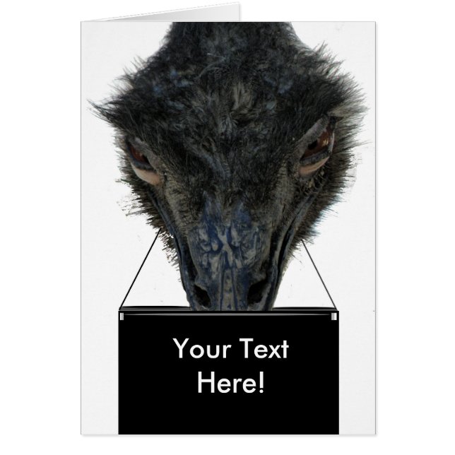 カードEMU財布ZIZZAGO (正面)