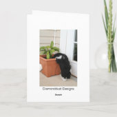 カードx 2 3 カード (裏面)