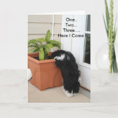 カードx 2 3 カード (正面)