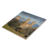 カーナーフォン城 ウェールズ タイル (側面)