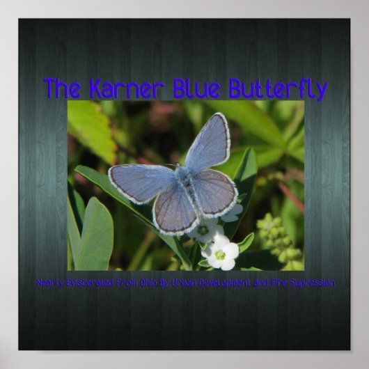 カーナーブループリント ポスター (正面)