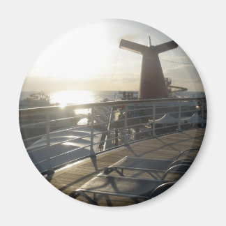 カーニバル触覚 マグネット