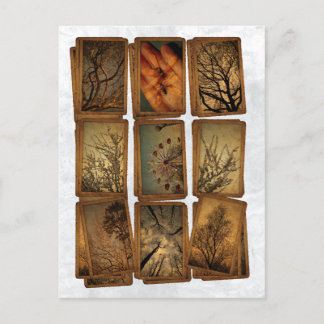 カーニバル、トンボ、木 ポストカード