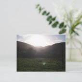 カーニュートンのはがき ポストカード (スタンド正面)