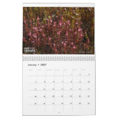 カーニヴォレス岬カレンダー2022 カレンダー (1月 2027)