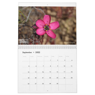 カーニヴォレス岬カレンダー2022 カレンダー