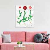 カーネイタリアンーション2 キャンバスプリント (インサイチュ (リビング))