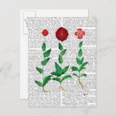 カーネイタリアンーション2 ポストカード (正面/裏面)