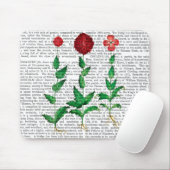 カーネイタリアンーション2 マウスパッド (マウス)