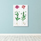 カーネイタリアンーション3 キャンバスプリント (インサイチュ (ウッドフロア))