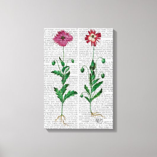 カーネイタリアンーション3 キャンバスプリント (正面)