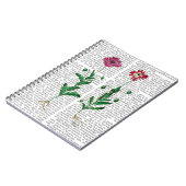 カーネイタリアンーション3 ノートブック (左側)