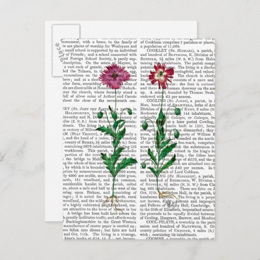 カーネイタリアンーション3 ポストカード (正面/裏面)