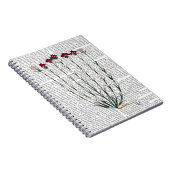 カーネイタリアンーション4 ノートブック (右側)