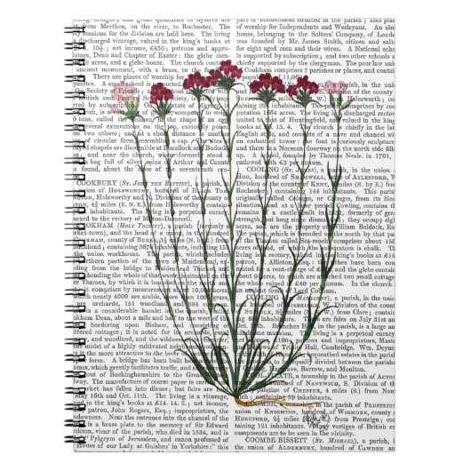 カーネイタリアンーション4 ノートブック (正面)