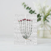 カーネイタリアンーション4 ポストカード (スタンド正面)