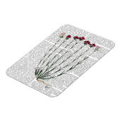 カーネイタリアンーション4 マグネット (左側)