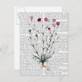 カーネイタリアンーション5 ポストカード (正面/裏面)