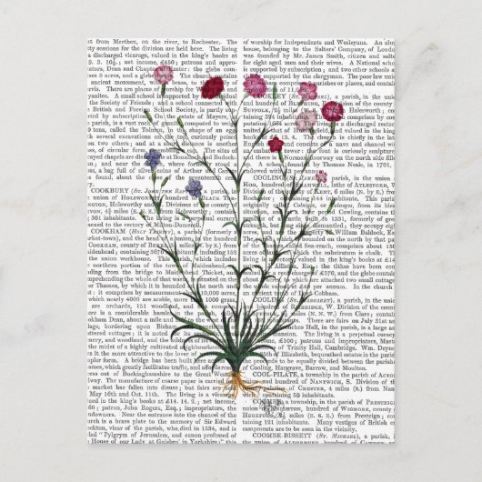 カーネイタリアンーション5 ポストカード (正面)