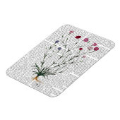 カーネイタリアンーション5 マグネット (左側)