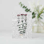 カーネイタリアンーション6 ポストカード (スタンド正面)