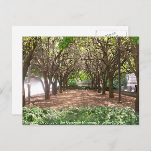 カーネギー博物館 ポストカード (正面/裏面)