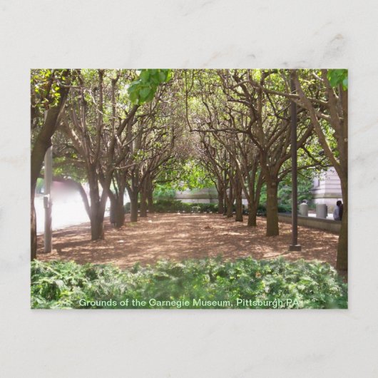 カーネギー博物館 ポストカード (正面)