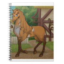 カーネット写真a spirale