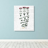 カーネーションイタリアン キャンバスプリント (インサイチュ (ウッドフロア))