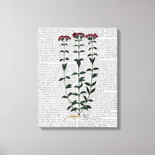 カーネーションイタリアン キャンバスプリント (正面)