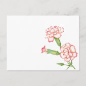 カーネーションハガキ ポストカード (正面)