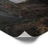 カーネーションリリーバラサージェントプリント ポスター (角)