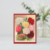 カーネーションヴィンテージシードパケットアートのカード ポストカード (スタンド正面)