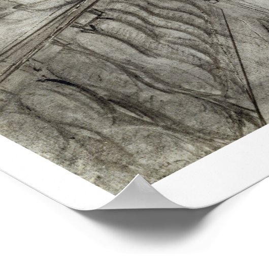 カーネーション植物の世話をするテラスの女性(黒) ポスター (角)