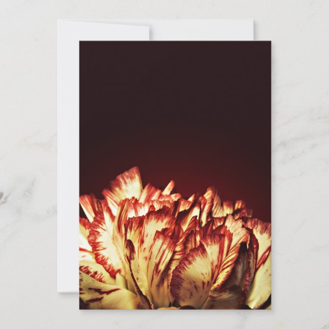 カーネーション火災招待状 (正面)