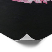 カーネーション花ポスター ポスター (角)