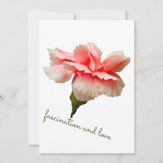 カーネーション花。魅惑と愛。 招待状 (正面)
