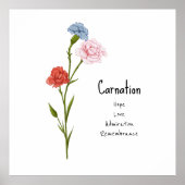 カーネーション1月誕生フラワーウォーターカラーアート ポスター (正面)