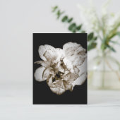 カーネーション ポストカード (スタンド正面)