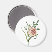 カーネーション マグネット (正面/裏面)