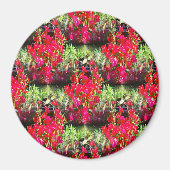 カーネーション..... マグネット (正面)