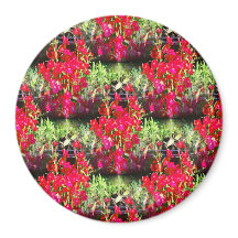 カーネーション.....