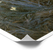 カーネーション、リリー、リリー、バラ、ジョン・シンガー・サージェント ポスター (角)