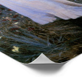 カーネーション，リリー，リリー，バラ ポスター (角)