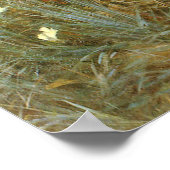 カーネーション、リリー、リリー、バラbyジョン・シンガーSargent ポスター (角)