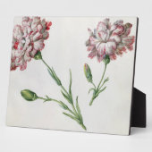 カーネーション(紙付き勘定) フォトプラーク (側面)