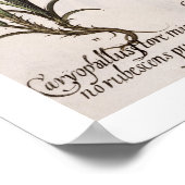 カーネーション： 1.カリオフィロスの大きな葉； 2.カヨップ ポスター (角)