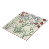 カーネーション: 1.Caryophyllus多重floreのalbo; 2 タイル (側面)